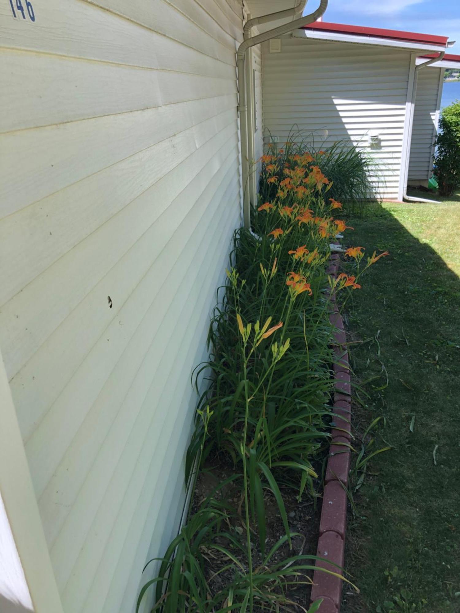 The Wellington Lake Cottage Middlebury エクステリア 写真